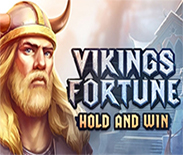 Vikings Fortune: Hold and Win